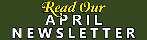 read our newsletter
