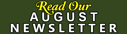 read our newsletter