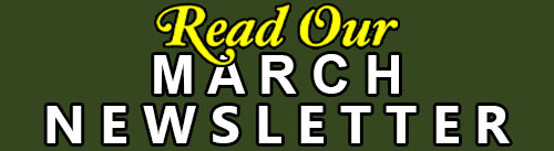 read our newsletter