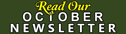 read our newsletter