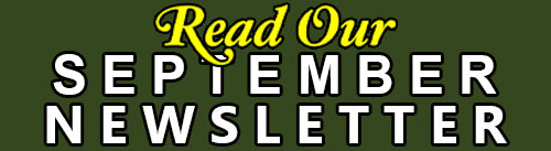 read our newsletter